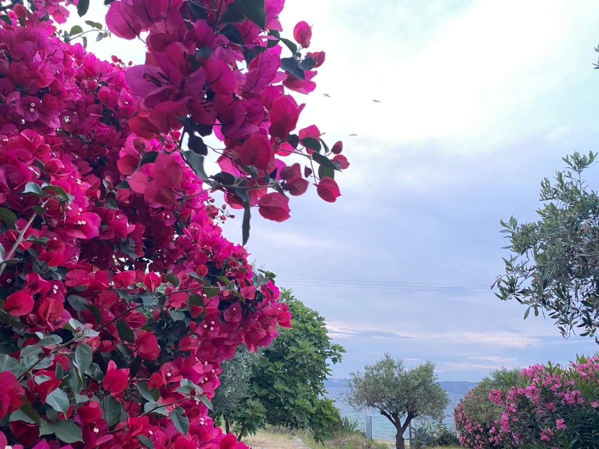 Casa Santa Agua Villa อาโมเลียนี ภายนอก รูปภาพ