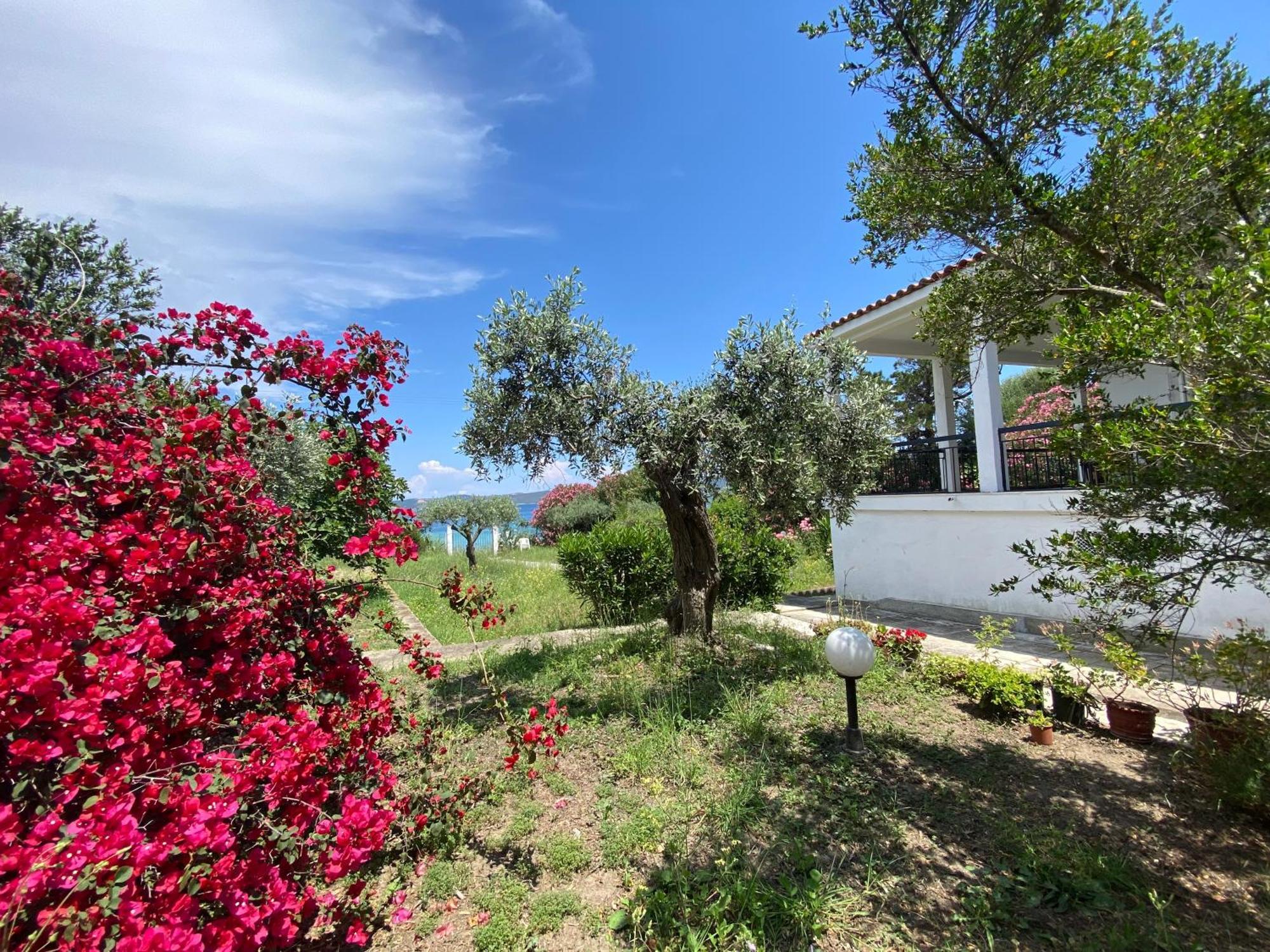 Casa Santa Agua Villa อาโมเลียนี ภายนอก รูปภาพ